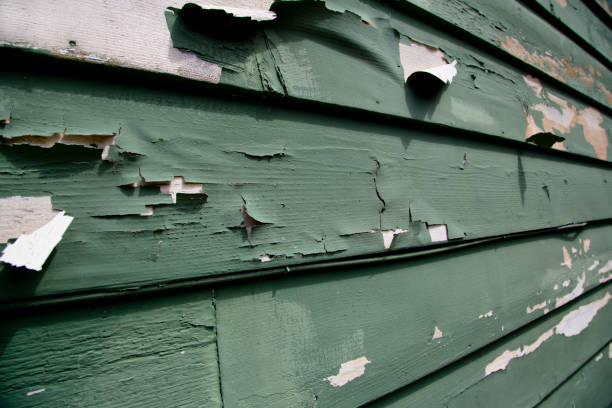 Best Wood Siding Installation  in Deans, NJ