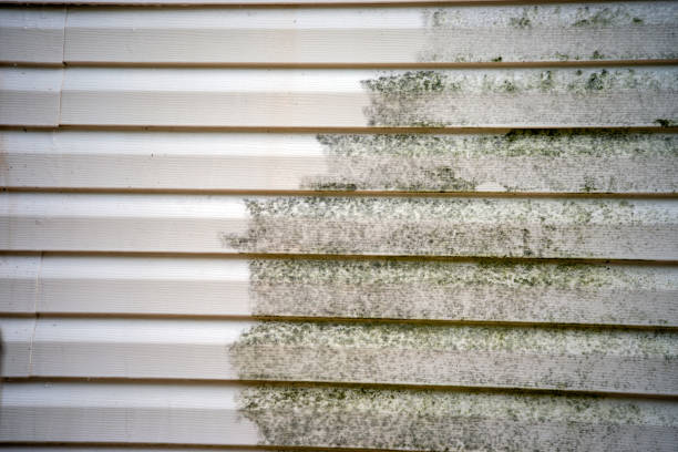 Best Storm Damage Siding Repair  in Deans, NJ