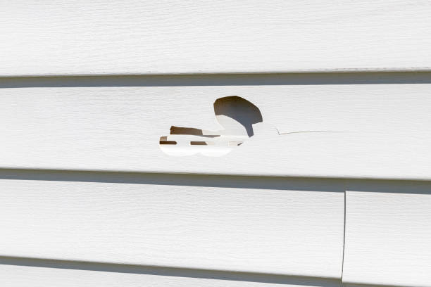 Best Steel Siding Installation  in Deans, NJ