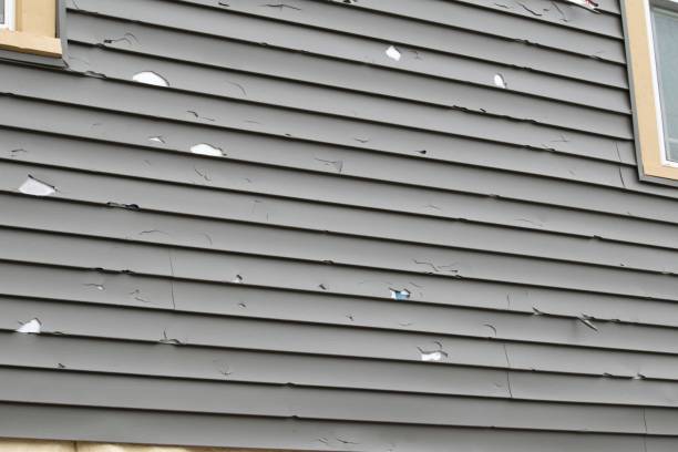 Best Storm Damage Siding Repair  in Deans, NJ