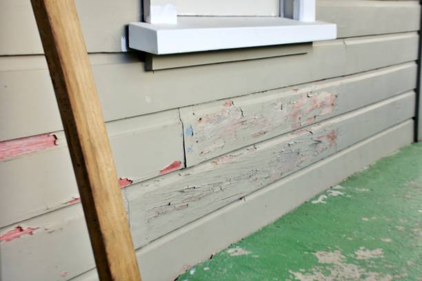 Best Residential Vinyl Siding Installation  in Deans, NJ